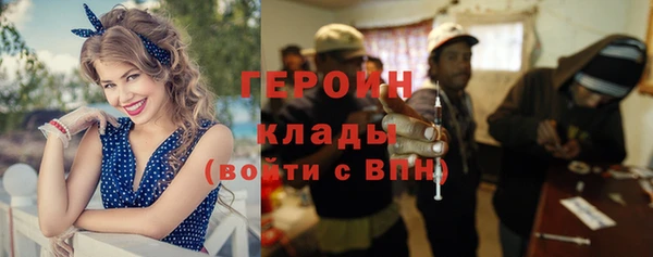 дживик Гатчина