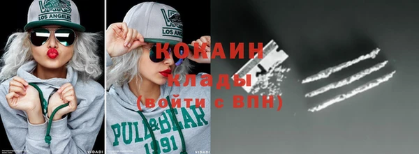 дживик Гатчина