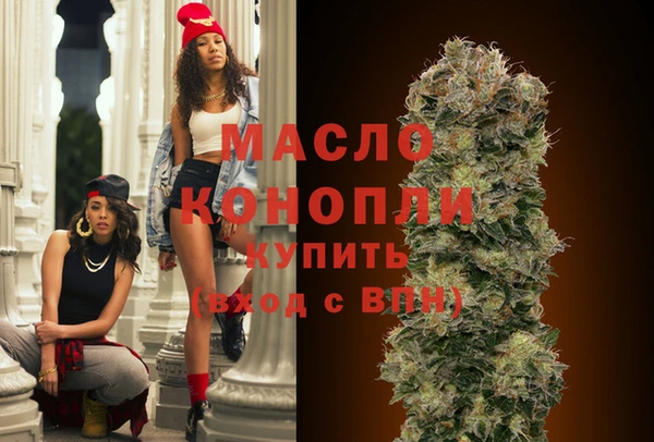 дживик Гатчина