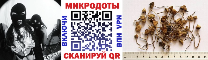Псилоцибиновые грибы прущие грибы  сайты даркнета телеграм  Луховицы 