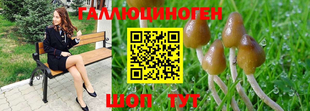 Псилоцибиновые грибы MAGIC MUSHROOMS  Вход с VPN  Луховицы  Псилоцибиновые грибы Magic Shrooms 
